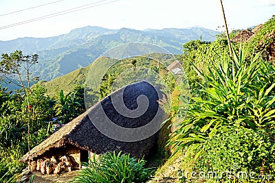 Wodden long house in Longwa tribal village, Mon, Nagaland, India, Myanmar Stock Photo