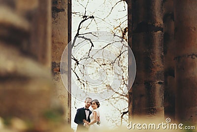 A look from afar on a stunning wedding couple standing between o Stock Photo