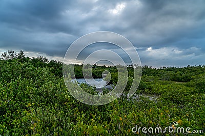 A look around Emerson Point Preserve Stock Photo