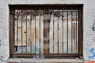 Look trough glassless old rusty iron window with bars and ruined old wall Stock Photo