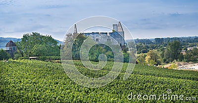 Look at Vogtsburg-Burkheim with castle ruins. Kaiserstuhl Stock Photo