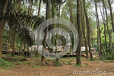 Looked home in the middle of a pine forest Stock Photo