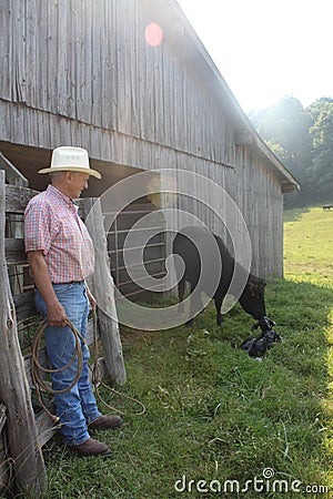 Looking On 2 Stock Photo