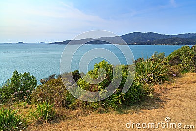 Coastal scenery on the Coromandel Peninsula, New Zealand Stock Photo