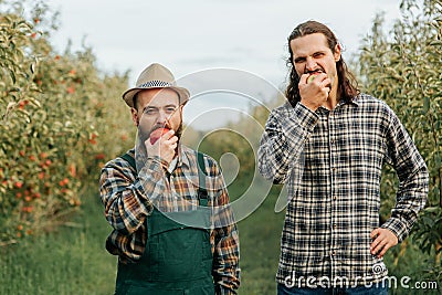 looking at camera two male farmer in sync throw apple up hand then catch bite other hand on hips Stock Photo