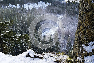 Daisy lake just past Brandywine waterfall Stock Photo