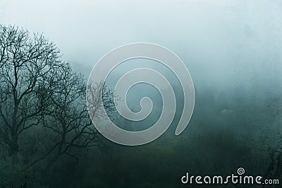Looking down at a forest on a moody winters day with the silhouette of a tree through the fog. With a grunge, grainy artisitc edit Stock Photo