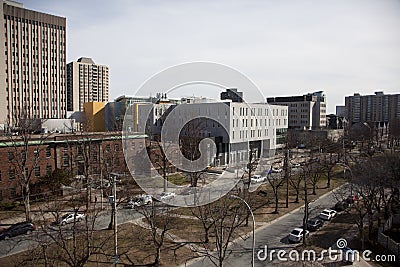 Looking down the health district of University Avenue Editorial Stock Photo