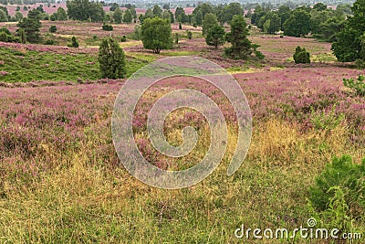 Looking down on the slopes of the Wilseder Mountain Stock Photo