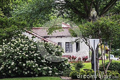 Looking through flowering bushes and trees at southwestern adobe style house with tiled roof in beautiful spring neighborhood with Stock Photo