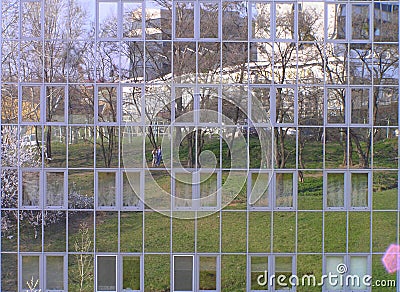 Looking through the looking glass Stock Photo