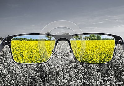 Looking through glasses to colorful nature landscape with blue sky and yellow field Stock Photo