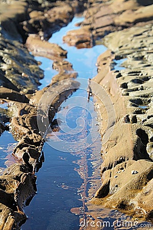 Erosion Patterns Rock Platform Avoca Beach Stock Photo