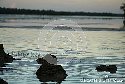 Florida Finest Nature Stock Photo