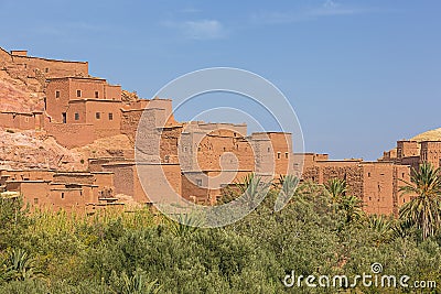 Looking over the oasis to some traditional houses Stock Photo