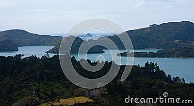 Looking at the sea, islands and trees in New Zealand from a lookout point Stock Photo