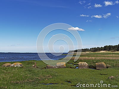 Looking towards Tentsmuir Point and Tapyport Heath behind the old wartime concrete Tank Traps Stock Photo