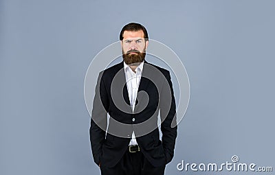 Looking trendy. handsome man standing on gray background. serious bearded businessman. stylish mature man looking modern Stock Photo