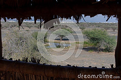 Looking through the wildlife and bird observation tower or blind in the desert of the United Arab Emirates out to the grassland, r Stock Photo