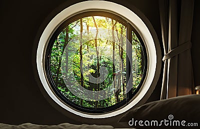 Looking through window, tropical forests in sunrise view Stock Photo