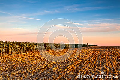 Lookout tower between corn field and empty field after harvesting Stock Photo