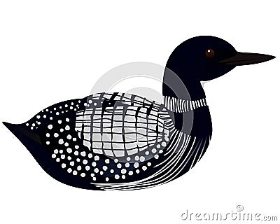 Loon bird Vector Illustration