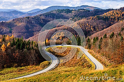 Loop road in autumn forest Stock Photo