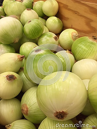 Loose Large Onions in a Veg Store Stock Photo