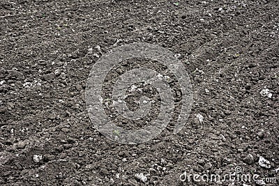 loosened soil outdoors in sunny day Stock Photo
