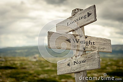 loosing weight now text engraved on old wooden signpost outdoors in nature. Cartoon Illustration