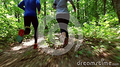 Lopende jogging in bosvrouw opleiding, het lopen, het aanstoten, geschiktheid, agent-4k video stock videobeelden Lopende jogging in bosvrouw opleiding, het lopen, het aanstoten, geschiktheid, agent-4k video stock videobeelden