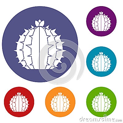 Lophophora cactus icons set Vector Illustration