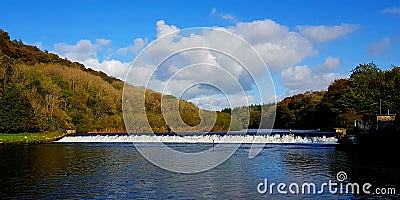 Lopwell Dam , Devon Uk Stock Photo