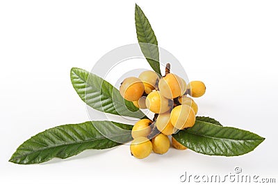 Loquat fruits Stock Photo