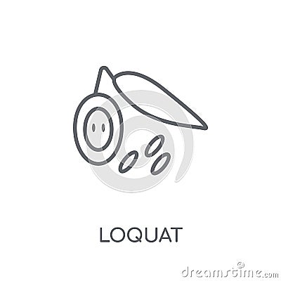 Loquat linear icon. Modern outline Loquat logo concept on white Vector Illustration