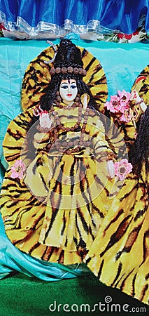 Lord shivji wearing a tigar skin drees Stock Photo