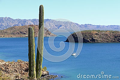 Cactus and mountains in the Loreto bays in the sea of baja california, mexico V Stock Photo