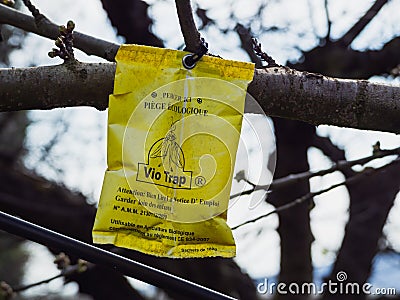 Vio-trap is first olive fly trap approved in France. Vio-trap can be used in Organic Agriculture. Editorial Stock Photo