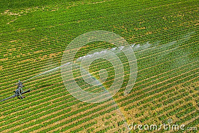 Loriol sur Drome, France - August 2022: Aerial view by a drone of a field being irrigated by powerful irrigation system. Editorial Stock Photo