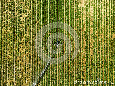 Loriol sur Drome, France - August 2022: Aerial view by a drone of a field being irrigated by powerful irrigation system. Editorial Stock Photo