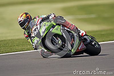 Loris baz #76 Editorial Stock Photo