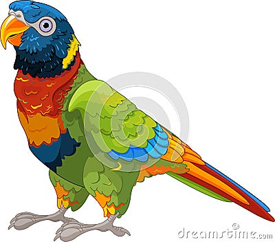 Lory Parrot Vector Illustration