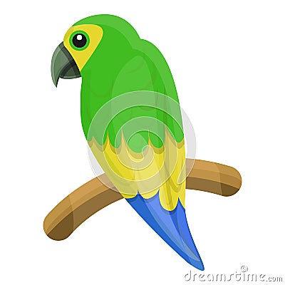 Lory parrot icon, cartoon style Vector Illustration