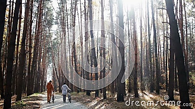 Los pares felices con las bicicletas caminan en el bosque almacen de metraje de vídeo Los pares felices con las bicicletas caminan en el bosque almacen de metraje de vídeo
