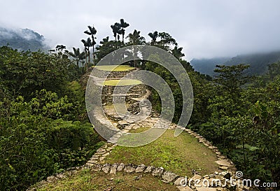 The Lost City Ciudad Perdida ruins in the Sierra Nevada de Santa Marta Stock Photo