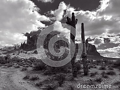 Lost Dutchman State Park Stock Photo