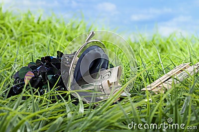 Lost money in the grass Stock Photo