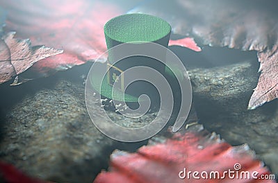 Lost Tiny Leprechaun Hat Stock Photo