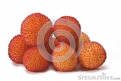 A lot of arbutus fruits. Stock Photo