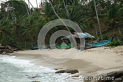 Lot of boats in the beach, Sri Lanka, Asia Stock Photo